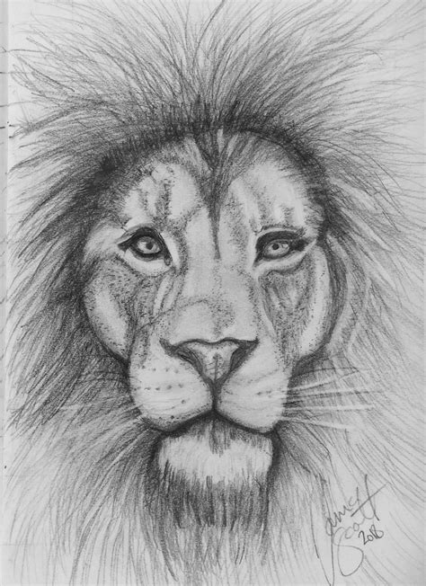 See more ideas about art drawings, drawings, sketches. Lion by Tania | Animal sketches, Cute animal drawings ...