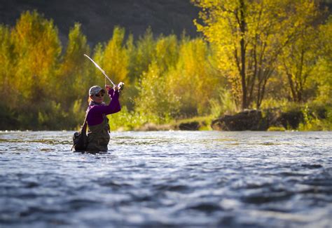 Fall Fly Fishing Utahs Provo River Jeremy Allan Utah