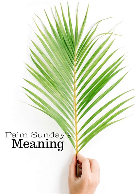 The Meaning Of Palm Sunday Stonegable