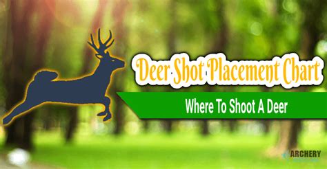 Deer Shot Placement Chart Where To Shoot A Deer