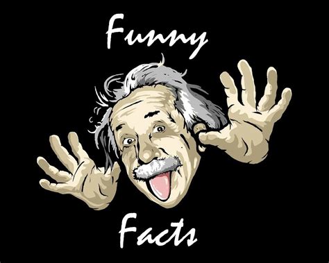 Funny Facts