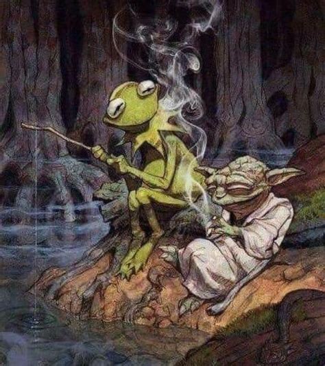 Yoda And Kermit Just Chilling Rblessedimages
