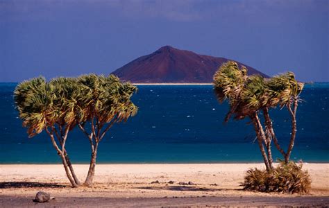 Eritrea Image Gallery Lonely Planet