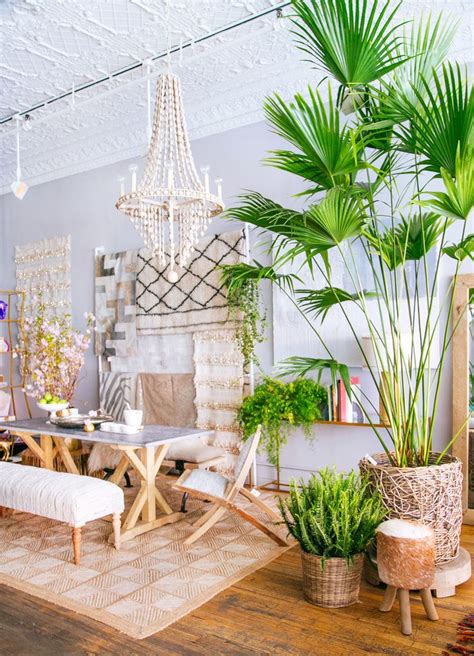 Taconescogracia Palm Tree Decor For Living Room