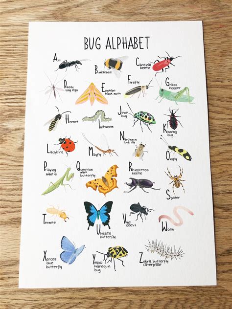 Bug Alphabet Print Abc Poster Childrens Print Wall Etsy Norway