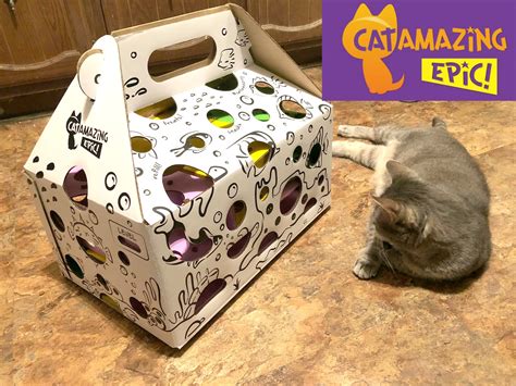 Shop devices, apparel, books, music & more. Cat and DOG Chat With Caren: The Cat Amazing EPIC! the ...