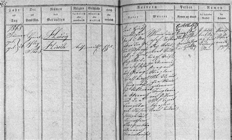 Ģerboņa nozīmīgākā sastāvdaļa ir taisnstūrveida vairogs ar noapaļotu lejasdaļu. HIRSCHOVÁ, Hedwig (1868-?) - Kohoutikriz.org