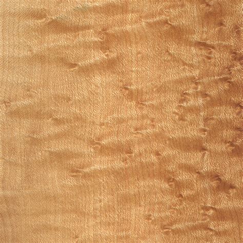 Birdseye Maple The Wood Database Lumber Identification Hardwood