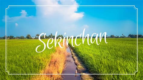 Get yourself acquainted with sekinchan and demographics of sekinchan, culture, people in sekinchan, currency plan your customized day by day trip plan for sekinchan. 1-DAY TRIP TO SEKINCHAN 渔米之乡适耕庄 │KUALA SELANGOR │2 Minutes ...