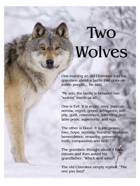 The One You Feed Wolf Quotes Two Wolves The One You Feed
