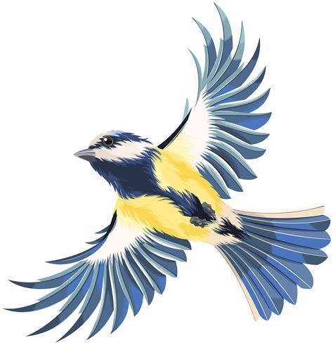 Bird Flight Clip Art Vector Color Cartoon Flying Bird