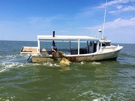 Ship Models Sinking Chesapeake Bay Crab Boat Plans