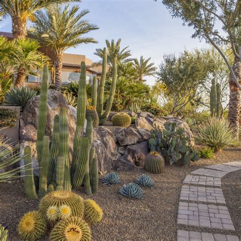 Sonoran Desert Inspired Landscape Design And Build Trademark