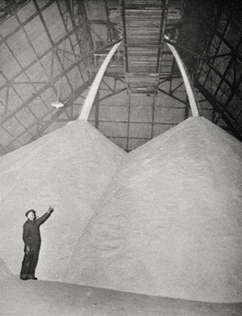 ABOUT — THE SALT SHED