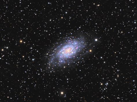 Ngc 2403 Astrodoc Astrophotography By Ron Brecher