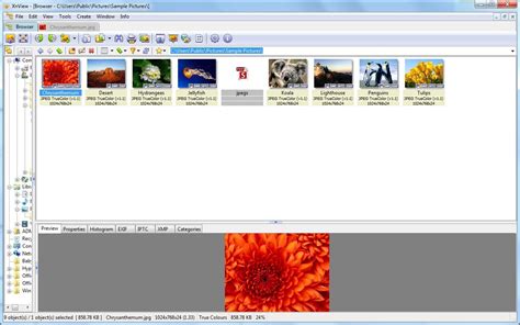 Xnview Latest Version Get Best Windows Software