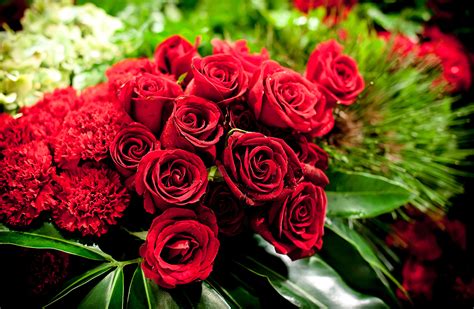 Pictures Red Roses Flowers Carnations Closeup