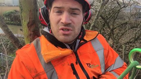 Some people learn all in one great rush: How do I become a tree surgeon - YouTube