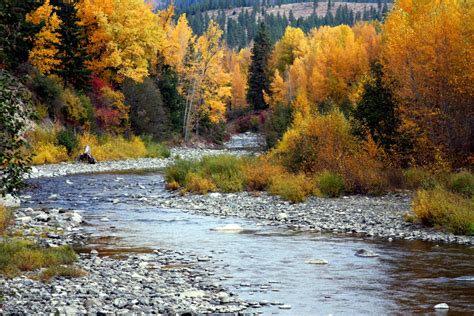 If you'd like to find things to see and do in the area we've got 95 hotels to pick from within 5 miles of mountain creek ski resort. Cascade Mountain Creeks, Washington - Emerald Water Anglers