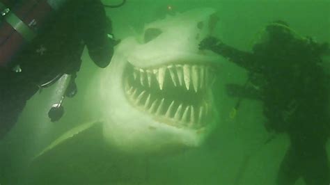 Scary Ocean Pictures Daunting Photos That Will Make You Fear The Ocean