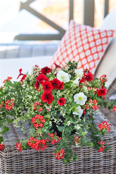 Tips For Perfect Potted Flowersand The Southern Living Plant