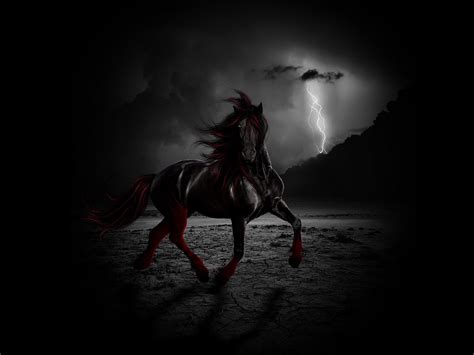 Dark Horse Hd Wallpapers Top Free Dark Horse Hd Backgrounds