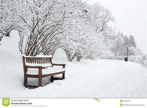 Park Bench And Trees In Winter Stock Photo Image Of Environment