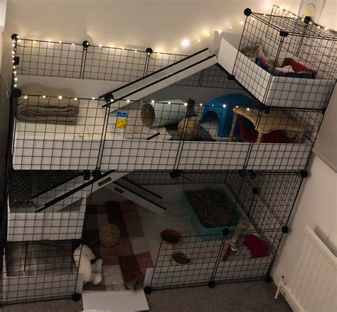 Candc Guinea Pig Cages 30 C And C Guinea Pig Cages