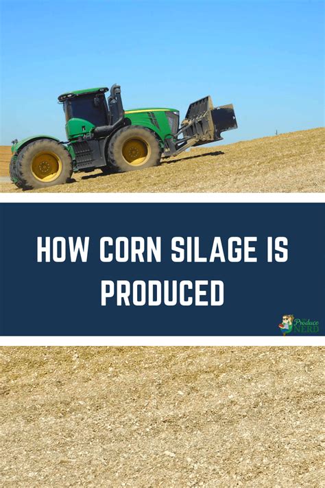 Corn Silage Production The Produce Nerd