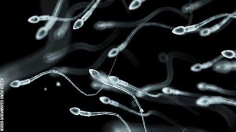 Mind Blowing Facts About Sperm Neatorama