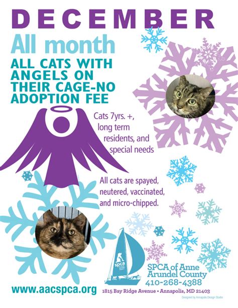 Spca Of Anne Arundel County