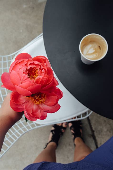 Choose from over 800 arrangements for every occasion. Coffee and Flowers at Communal Coffee in San Diego — Local ...