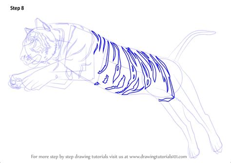 How To Draw A Tiger Jumping Big Cats Step By Step
