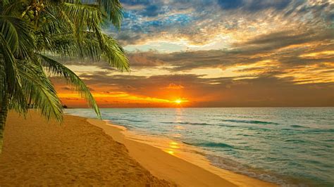 Hd Wallpaper Beach Blue Coast Emerald Paradise Sea Sky Sunshine
