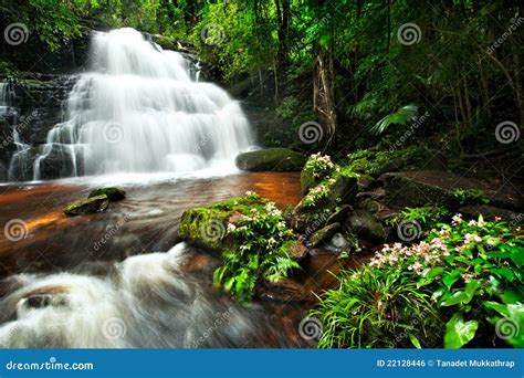Waterfall In Deep Forest Stock Photo Image Of Summer 22128446