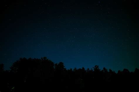 Starry Night Sky With A Treeline Stock Photo Download Image Now