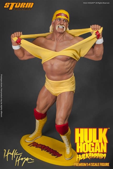 14 Hulk Hogan Hulkamania Premium Figure Limited