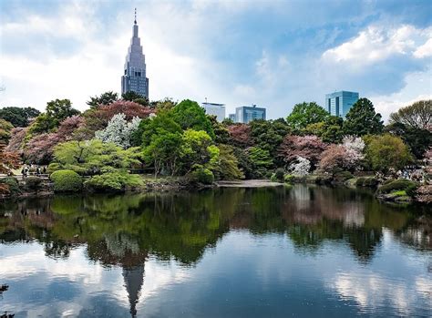 The Best Tokyo Parks And Japanese Gardens For Autumn Spring And Beyond