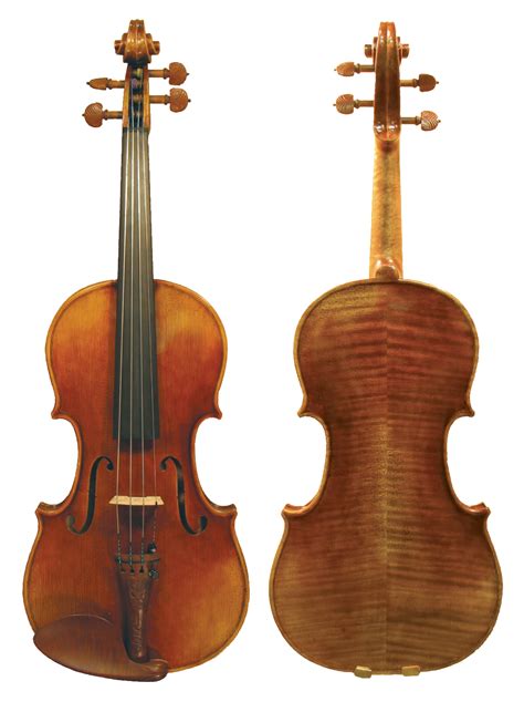 Prodigio Strings Affordable Quality Violin Viola Chincello Cello