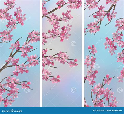 Spring Cherry Sakura Banners Stock Image Image Of Garden Flora 47093445