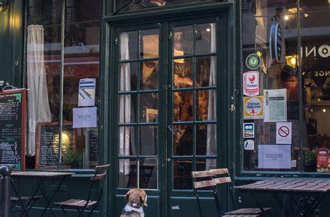 Unmasking Tip Credit Violations for Servers and Bartenders