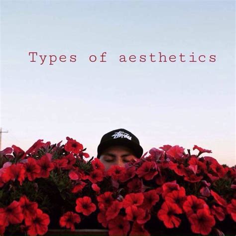 Types Of Aesthetics Aesthetic Universe Amino