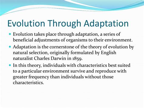 Ppt Chapter 4 Powerpoint Presentation Free Download Id4151507