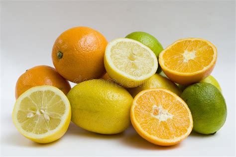 Fresh Citrus Fruits Stock Image Image Of Pile Citrus 13047633