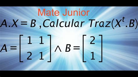 Ecuación Matricial Inversa De Una Matriz Youtube