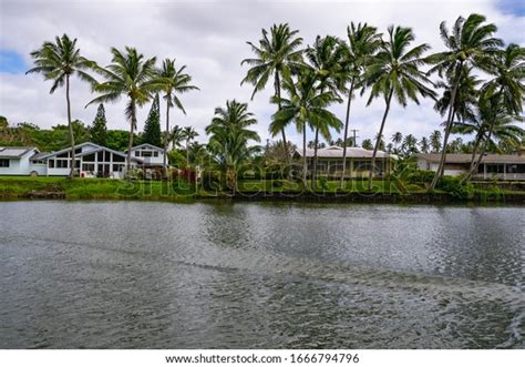 Wailua River Cruise Grotto Tour Takes Stock Photo 1666794796 Shutterstock