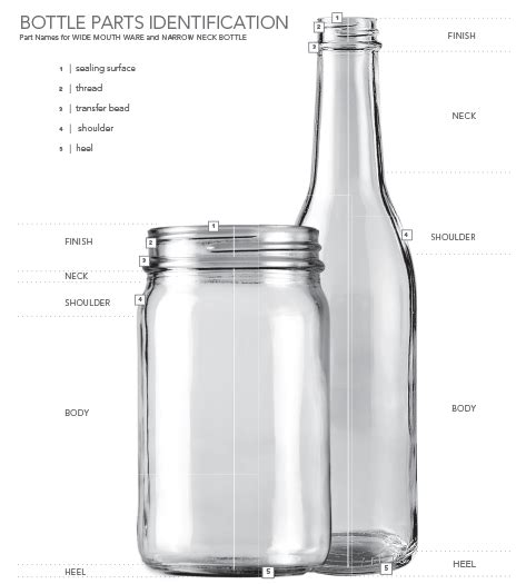 Anatomy Of A Bottle Tricorbraun
