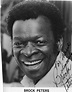 Brock Peters | Black actors, Black hollywood, Black celebrities