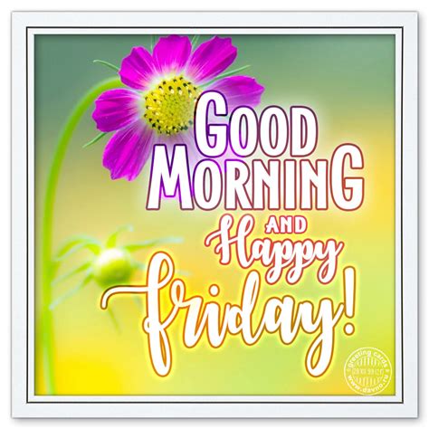 Goood Morning Friday Amashusho ~ Images