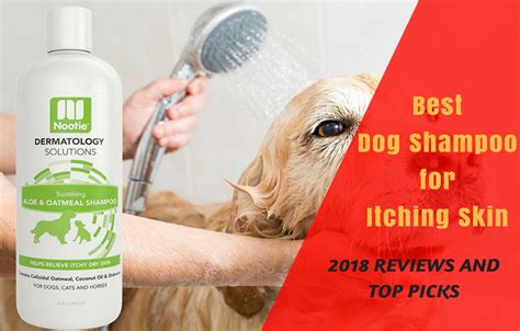 Top 10 Best Dog Shampoo For Itching Skin In 2018 Reviews